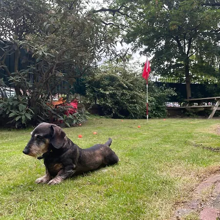 Bommelsteijn Bed & Breakfast